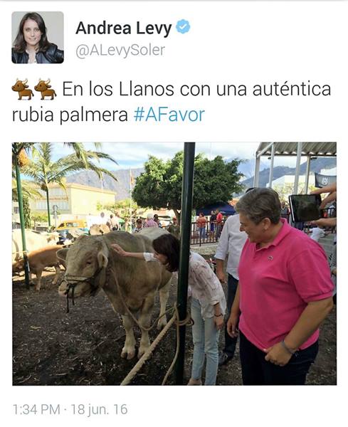 Twitter Levy La Palma(1)