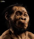 El MAB cierra hoy su programación especial de décimo aniversario con una interesante charla sobre el 'Homo naledi'