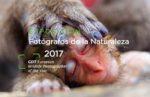 Exposición colectiva 'Fotógrafos de la naturaleza'