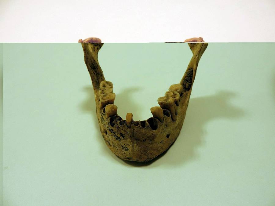 Mandíbula humana procedente de la Cueva de La Higuera (Barlovento)