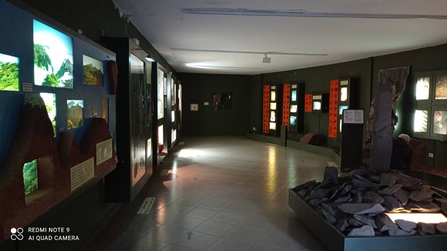 Interior de la sala de exposiciones (1)