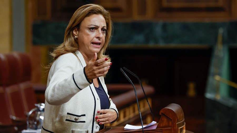 Valido  en una intervención en el Congreso.