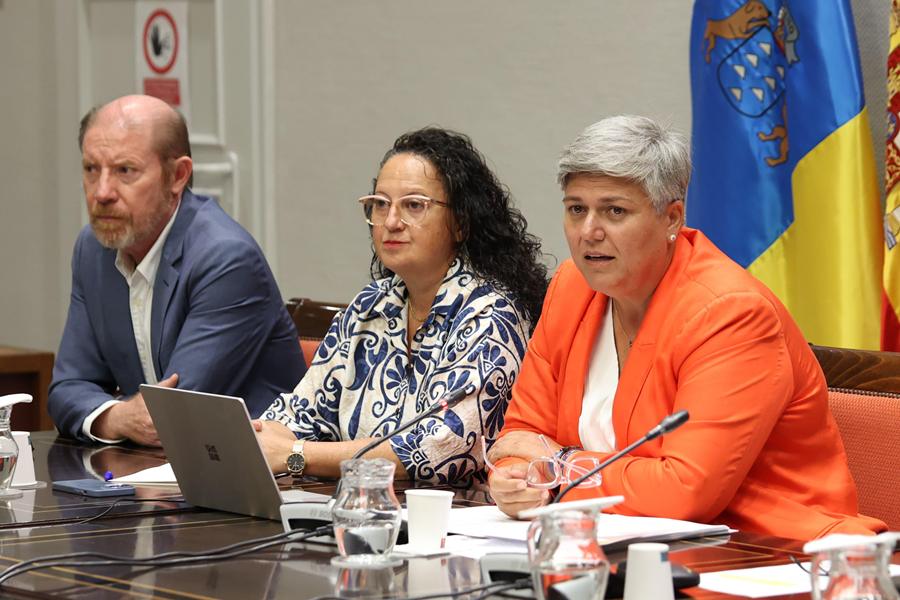 Noelia García en la Comisión Parlamentaria.