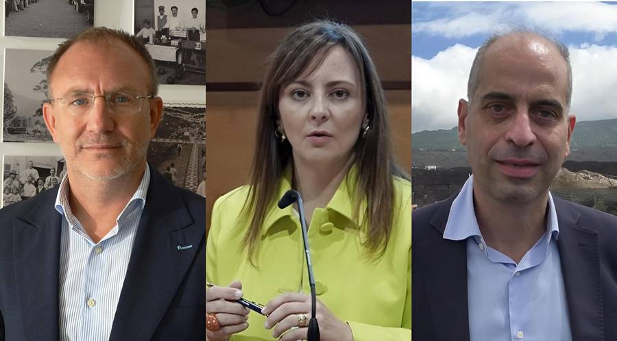 Sergio Rodríguez, Nieves Lady Barreto y Héctor Izquierdo.