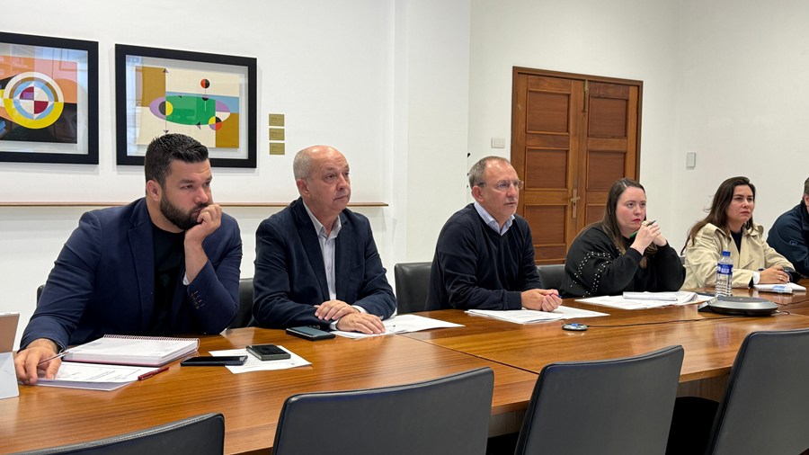 Reunión del Peinpal.