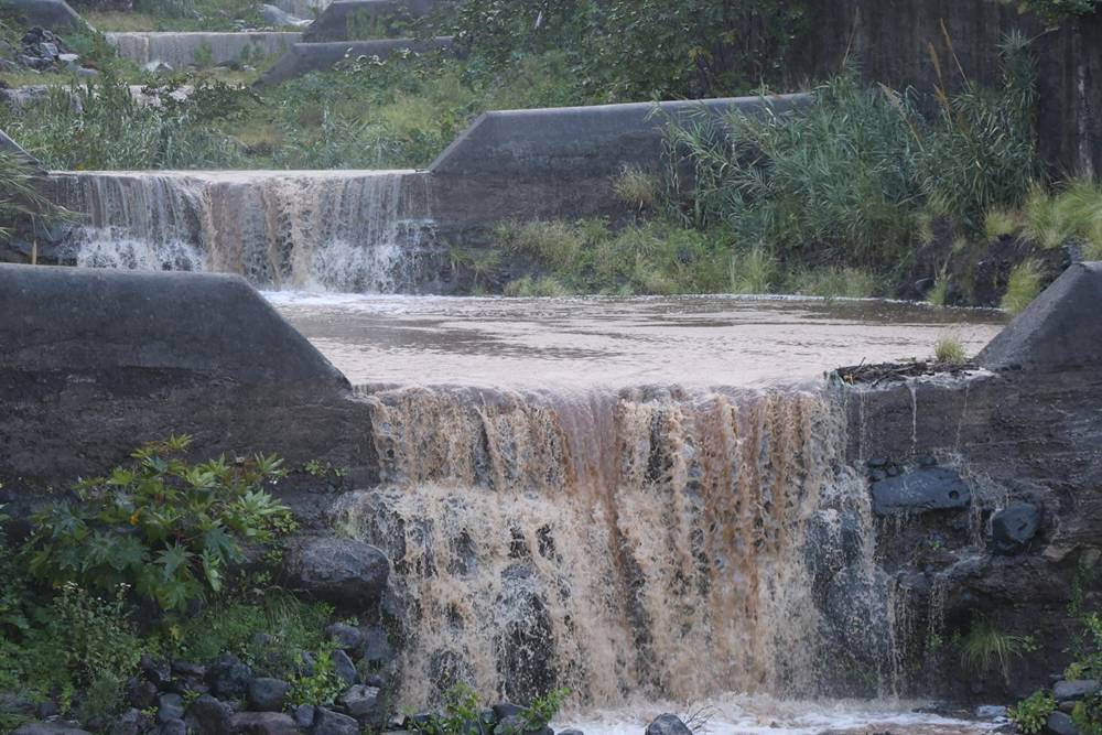 El barranco de Las Nieves. José Ayut