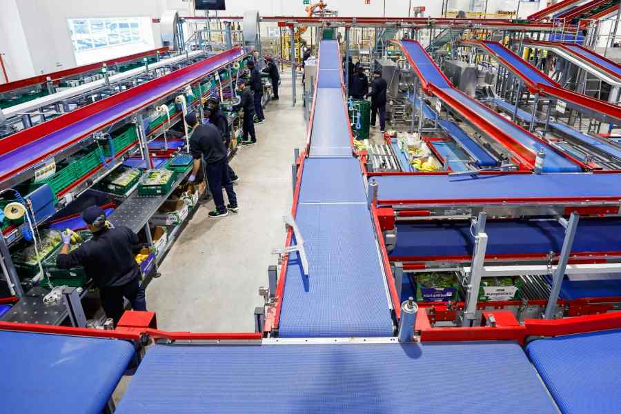 Inauguración nueva planta de Europlátano7