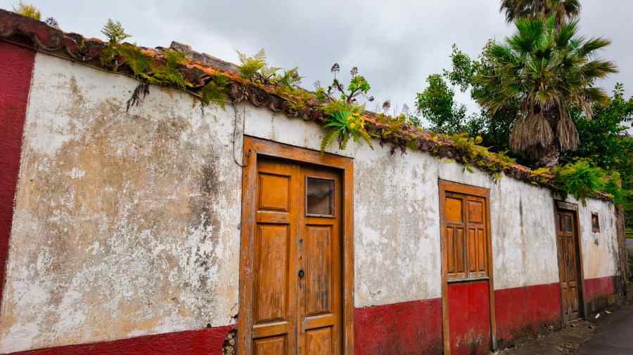 GARAFÍA VIVIENDA 2
